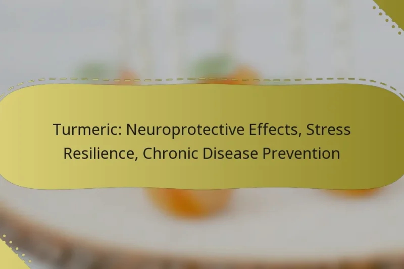 Turmeric: Neuroprotective Effects, Stress Resilience, Chronic Disease Prevention