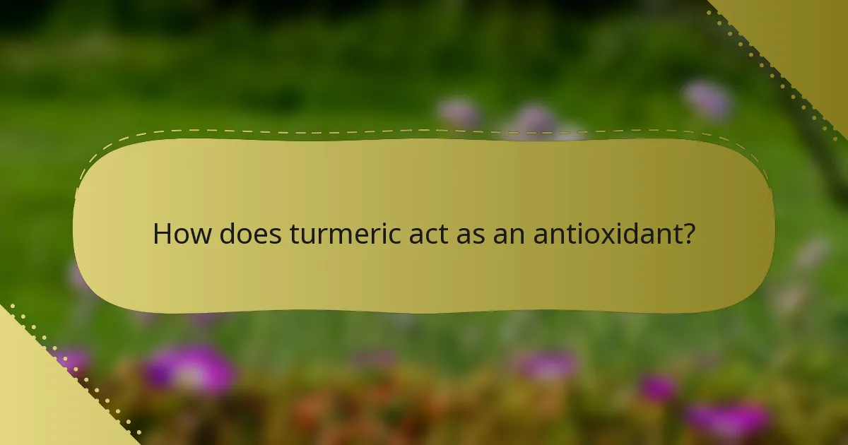 How does turmeric act as an antioxidant?